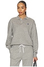 view 1 of 5 Arctic Fleece Polo Sweatshirt in Dark Vintage Heather