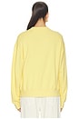 view 4 of 5 Island Fleece Crew Neck Sweatshirt in Banana Cream