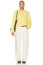 view 5 of 5 Island Fleece Crew Neck Sweatshirt in Banana Cream