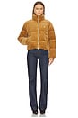 view 5 of 5 Quilted Corduroy Down Jacket in Tan
