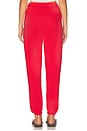 view 4 of 6 PANTALON JOGGER in Deep Orangey Red