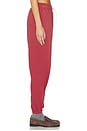 view 2 of 6 Arctic Fleece Jogger Pants in Red Snapper