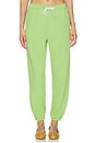 view 1 of 6 Island Fleece Jogger Pant in Parakeet Green