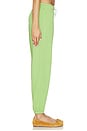 view 2 of 6 Island Fleece Jogger Pant in Parakeet Green