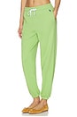 view 3 of 6 Island Fleece Jogger Pant in Parakeet Green