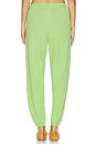 view 4 of 6 Island Fleece Jogger Pant in Parakeet Green