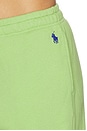 view 6 of 6 Island Fleece Jogger Pant in Parakeet Green