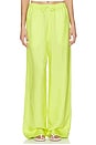 view 1 of 6 Standard Wide Leg Pant in Peridot Green
