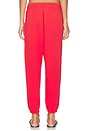 view 4 of 5 Island Fleece Ankle Jogger Pants in Bright Hibiscus