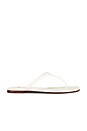 view 1 of 5 Nappa Thong Flat Sandals in White