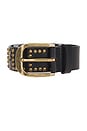 view 3 of 3 Studded Belt in Black