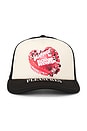view 1 of 2 Cake Trucker Hat in Black