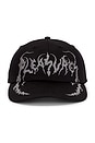 view 1 of 2 Claws Cap in Black
