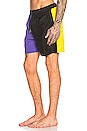 view 3 of 5 Misfit Nylon Short in Purple & Black