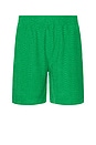 view 1 of 4 Zen Terry Shorts in Green