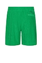 view 2 of 4 Zen Terry Shorts in Green