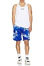 view 6 of 6 Koi Mesh Shorts in Blue