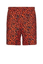 view 1 of 6 SHORT DE SPORT LEOPARD in Red
