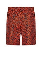 view 2 of 6 SHORT DE SPORT LEOPARD in Red