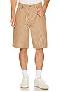 view 2 of 6 Cat Mirror Shorts in Beige