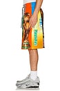 view 3 of 6 World Cup Wide Shorts in Multi