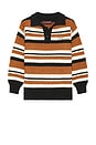 view 5 of 5 Cooper Polo Sweater in Brown