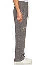 view 5 of 5 Linear Easy Pants in Charcoal
