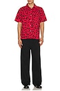 view 5 of 5 Bug Eye Button Up Shirt in Red
