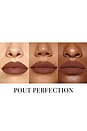 view 3 of 4 DELINEADOR DE LABIOS LEGENDARY LONGWEAR LIP LINER in Pout Perfection
