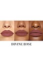view 2 of 3 Legendary Longwear Lip Liner in Divine Rose