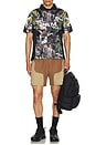 view 5 of 5 Lumacy Free Wheeling Track Shorts in Brown