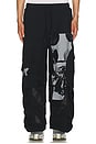 view 3 of 6 Equinox Flower Pants in Black