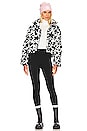 view 5 of 5 NEVADA ジャケット in Nova Star Print