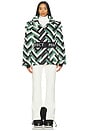 view 5 of 5 Cortina Ski Parka in Green Waffle Print