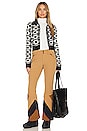 view 5 of 5 PANTALON ARCTIC in Brown Sugar
