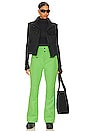 view 5 of 5 Aurora Flare Pant in Pear Green