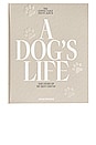 view 1 of 5 A Dog's Life Dog Album in Beige