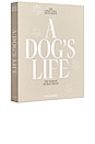 view 2 of 5 A Dog's Life Dog Album in Beige