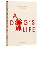view 2 of 7 A Dog's Life Dog Journal in 