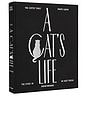 view 2 of 3 A Cat's Life Cat Album in Black & White