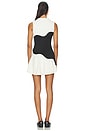 view 4 of 4 Wave Dress in Chantilly & Black