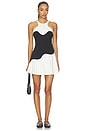 view 1 of 3 Wave Halter Dress in Chantilly & Black