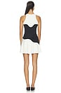 view 3 of 3 Wave Halter Dress in Chantilly & Black