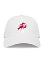 view 2 of 3 Lobster Embroidered Hat in White
