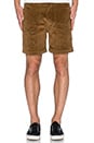 view 1 of 3 Camp Vibes Shorts in Hazel