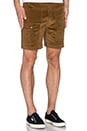 view 2 of 3 Camp Vibes Shorts in Hazel