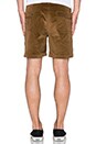 view 3 of 3 Camp Vibes Shorts in Hazel