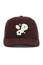 view 1 of 2 Reni Sixpanel Hat in Delicioso