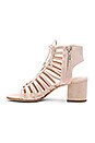 view 5 of 5 Amabelle Heel in Frappe Suede