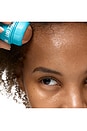 view 11 of 12 Instant Oil Control Roller With Halloysite Clay in 